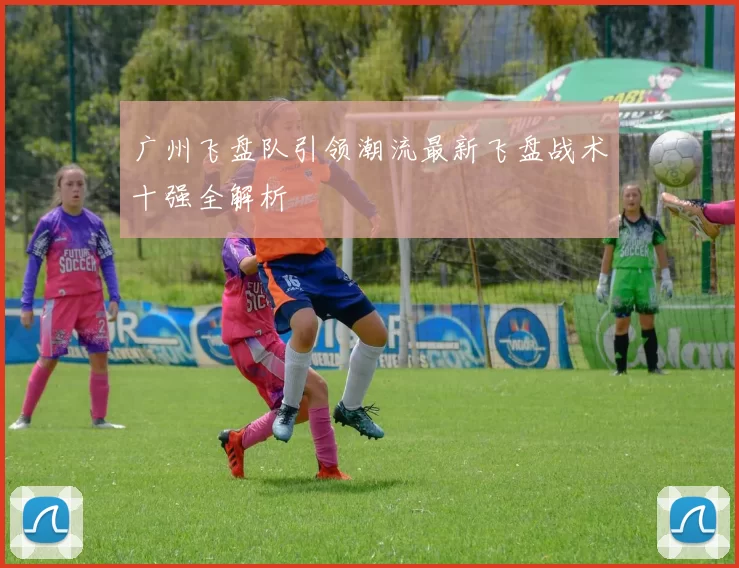 广州飞盘队引领潮流最新飞盘战术十强全解析