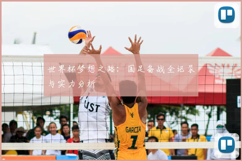 世界杯梦想之路：国足备战全记录与实力分析