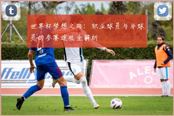 世界杯梦想之路：职业球员与非球员的参赛途径全解析