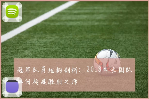冠军队员结构剖析：2018年法国队如何构建胜利之师