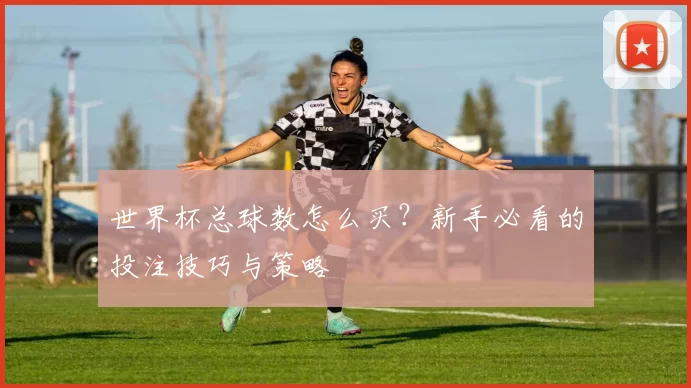 世界杯总球数怎么买？新手必看的投注技巧与策略