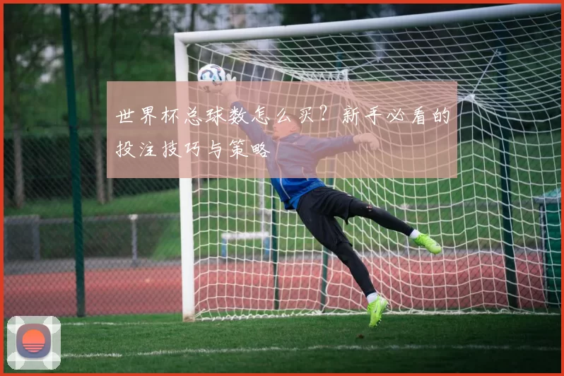 世界杯总球数怎么买？新手必看的投注技巧与策略