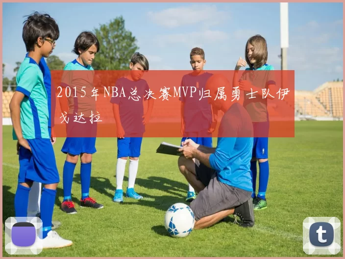 2015年NBA总决赛MVP归属勇士队伊戈达拉