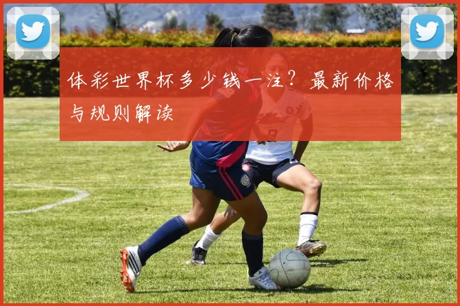 体彩世界杯多少钱一注?最新价格与规则解读