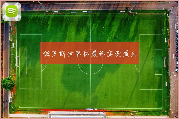 俄罗斯世界杯最终实现盈利